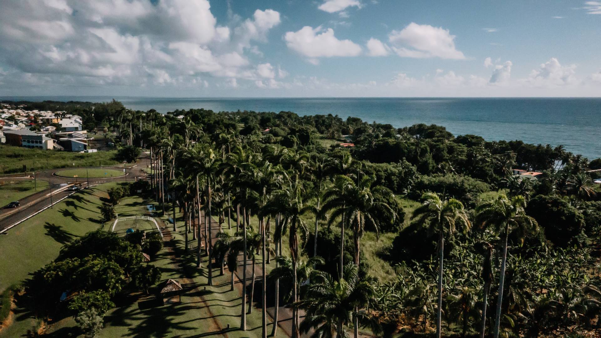 Vue aérienne de l'allée Dumanoir, Capesterre-Belle-Eau