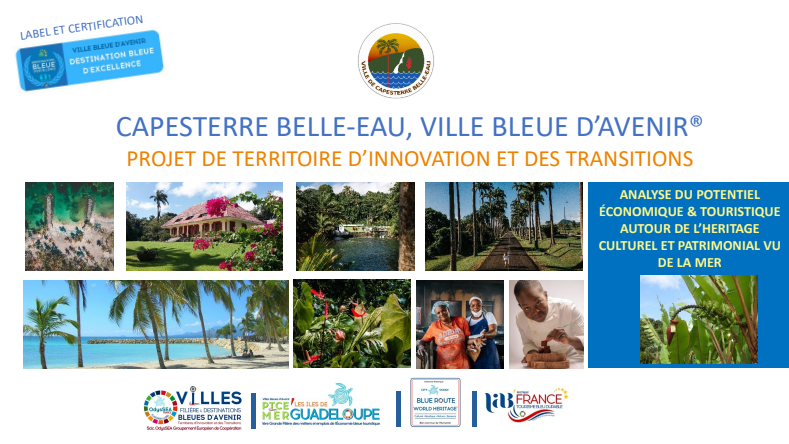 Capesterre Belle-Eau, Ville Bleue d'Avenir - Projet de territoire d'innovation et des transitions