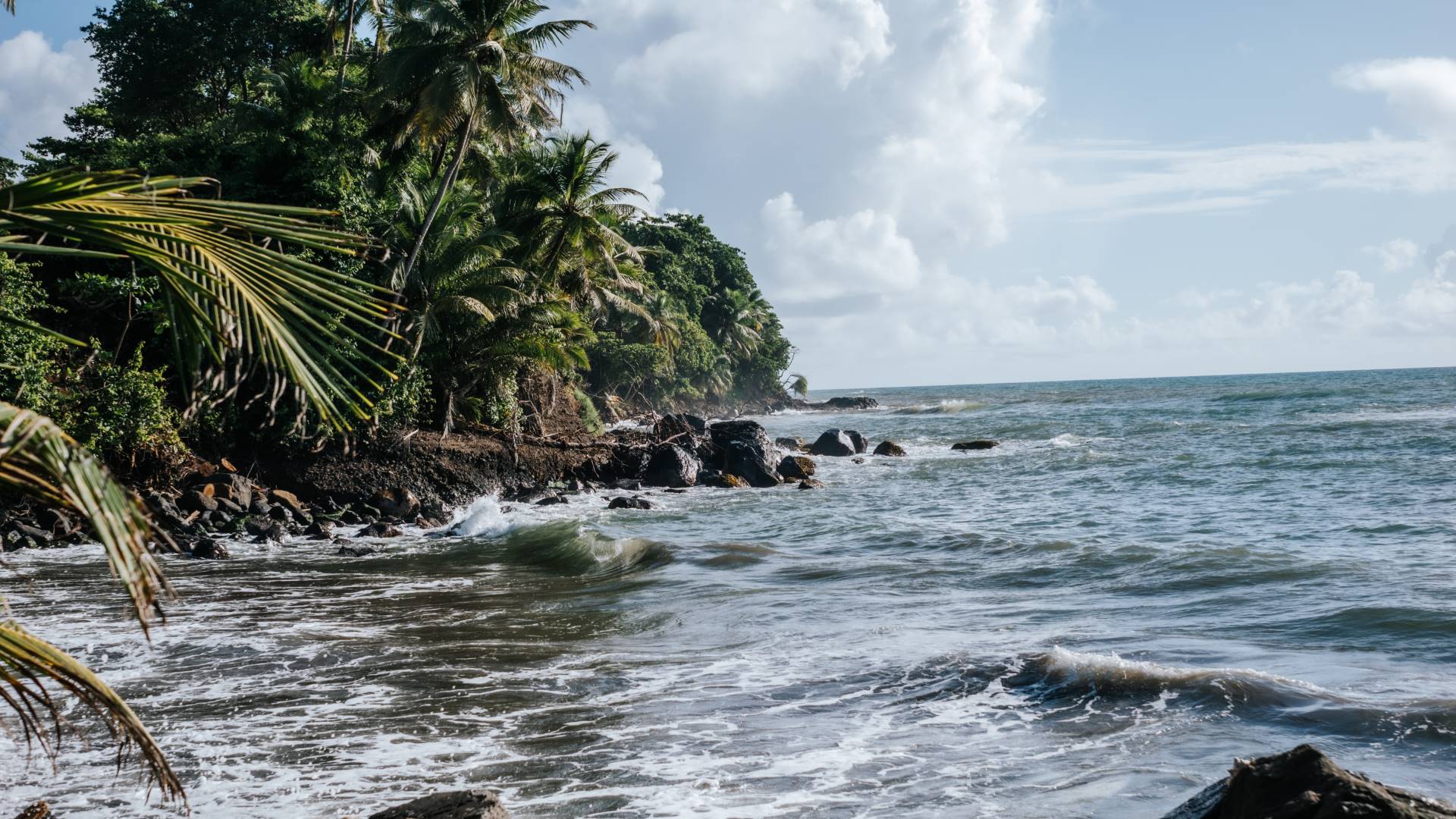 Présentation du label VBA - équipe et acteurs locaux