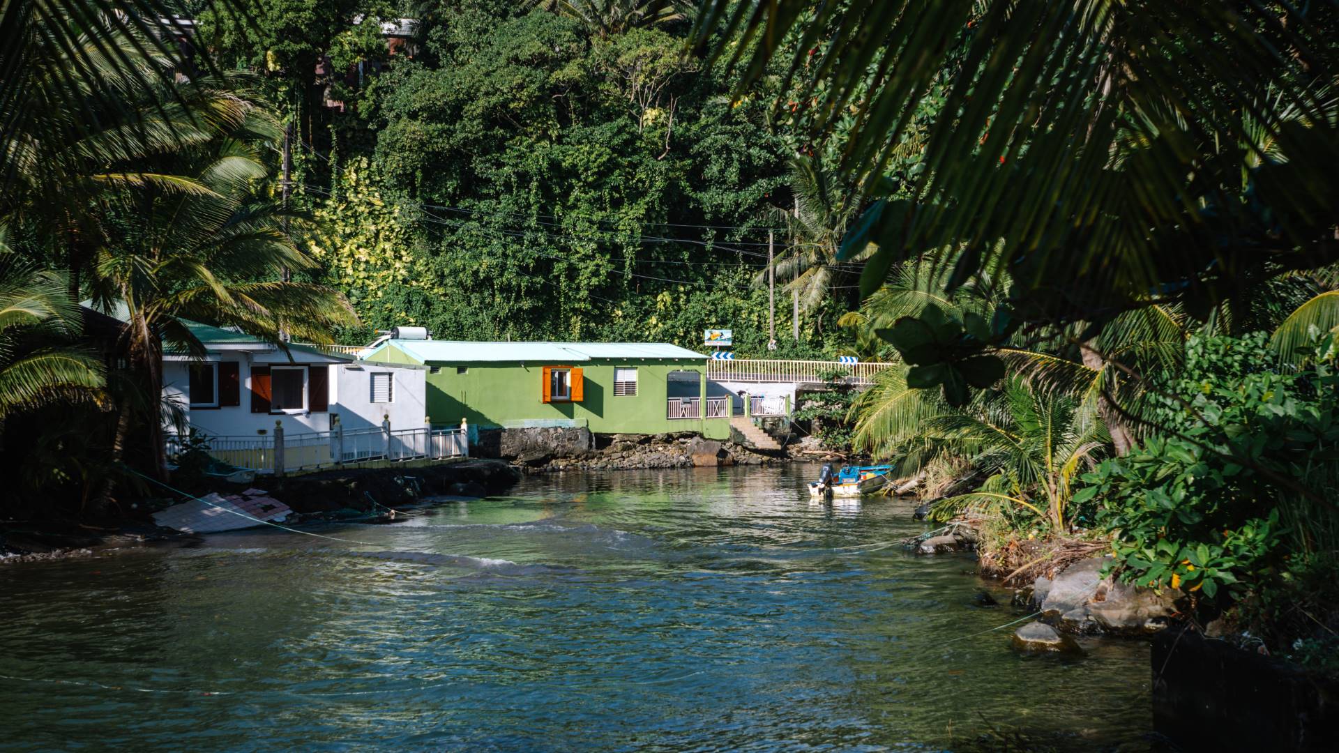Rivière tropicale bordée de végétation